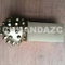 8 1/2 roller cone cutter for welding barrel / single cone cutter for HDD hole opener/2 1/4 IADC 437G roller cone cutter supplier